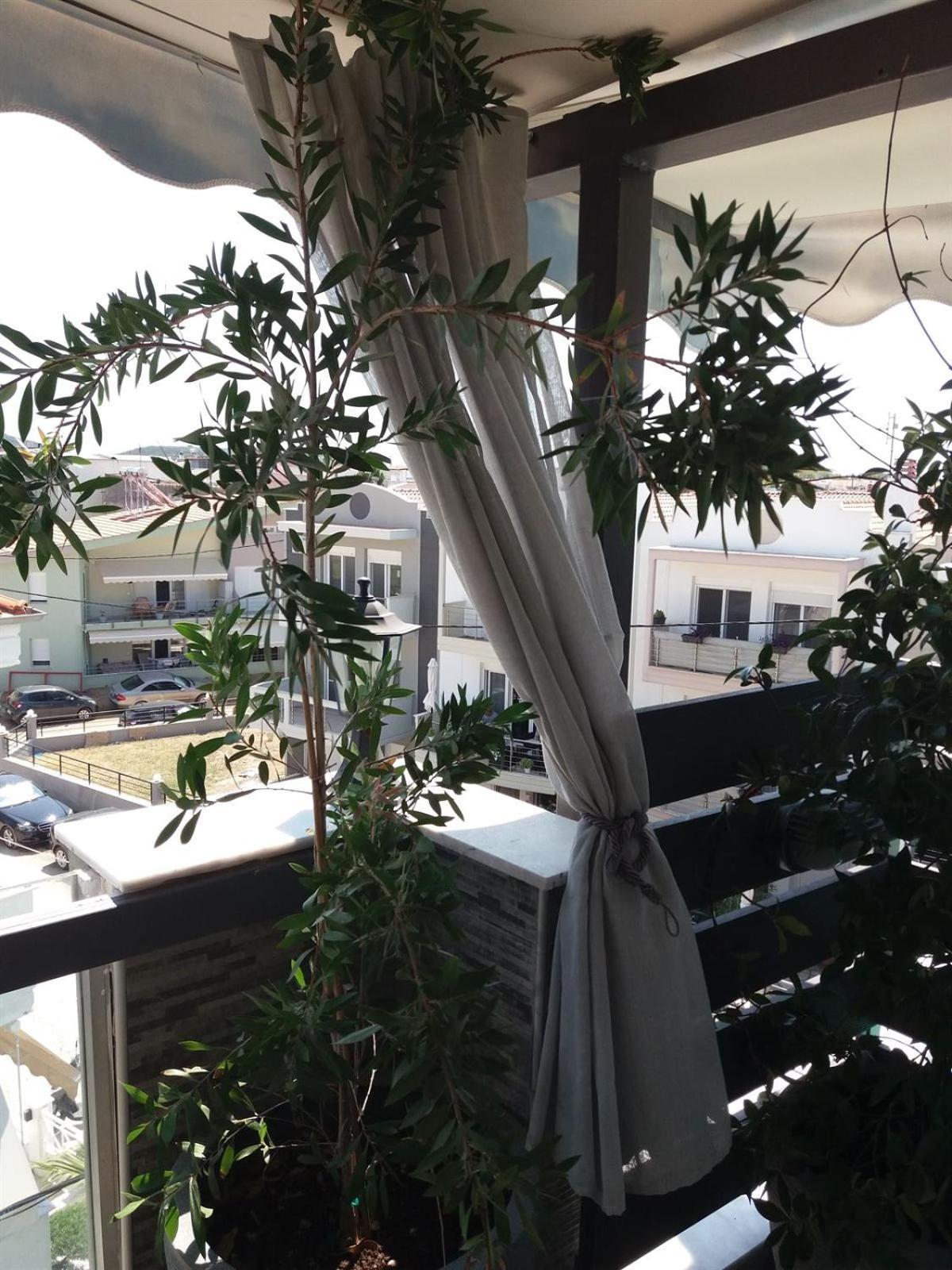 Green House Nea Peramos  Exterior photo